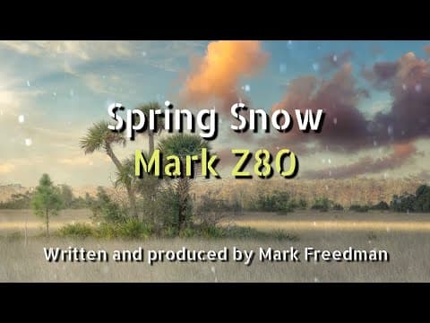 Spring Snow (Mark Z80)