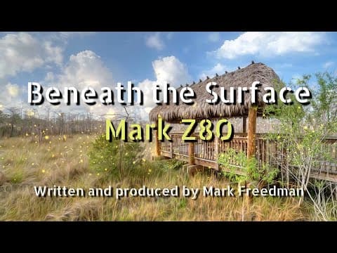 Beneath the Surface (Mark Z80)